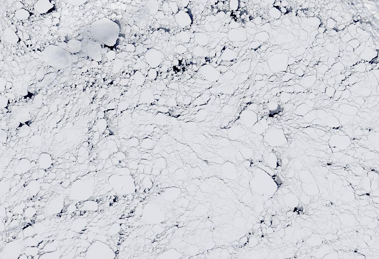 Sea ice floes viewed from above.